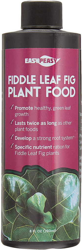 food for fiddle leaf fig Fiddle Leaf Fig Tree Plant Food