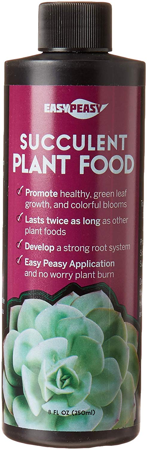 succulent plant food vs indoor plant food Succulent Plant Food