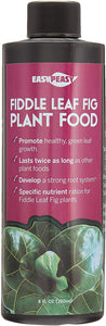 Fiddle Leaf Fig Tree Plant Food