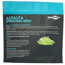 Alfalfa Sprouting Seeds