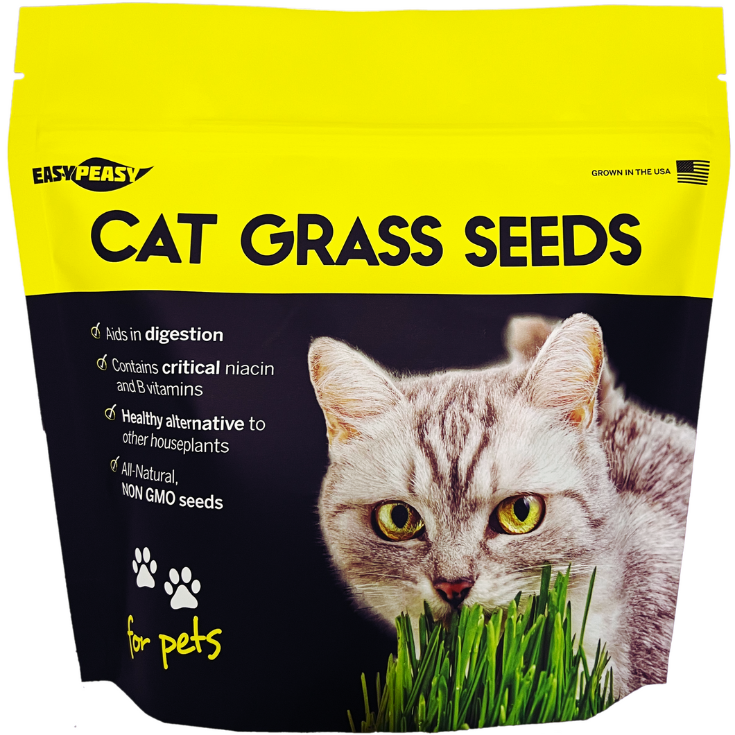 Catgrass Seed Easy Peasy Plants