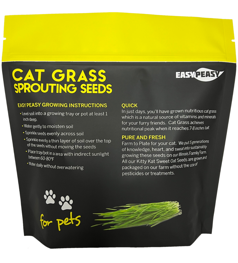 cat plant seeds Catgrass Seed